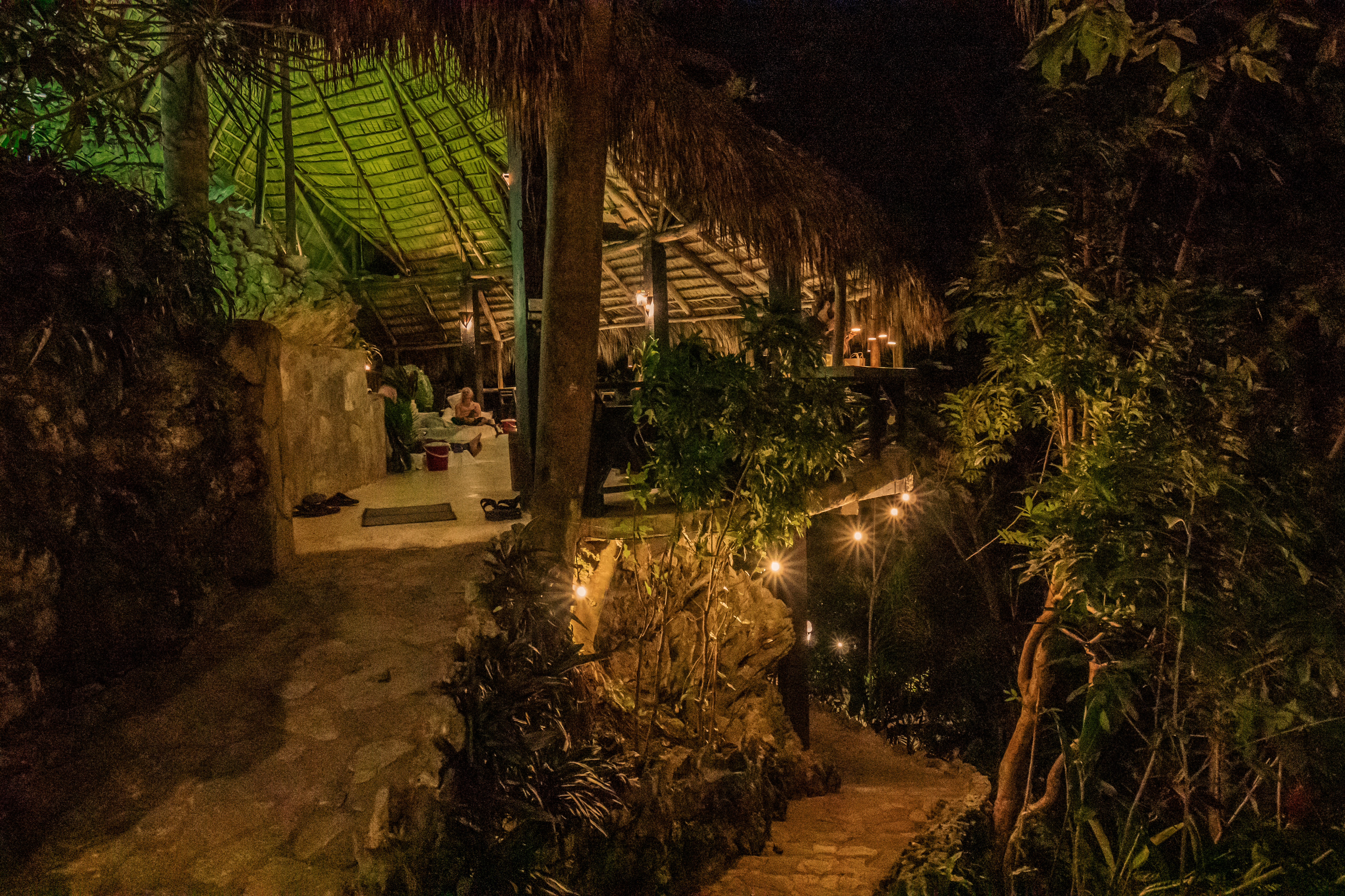 Jungle setting lobby